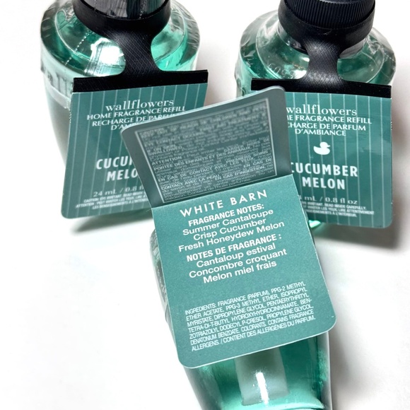 CUCUMBER MELON Wallflowers - Picture 2 of 2